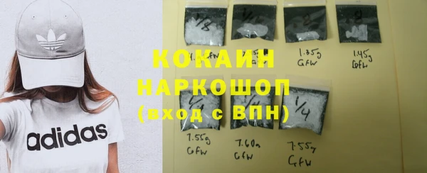 spice Рославль