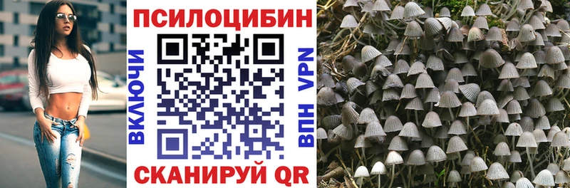 Псилоцибиновые грибы GOLDEN TEACHER  Выкса 